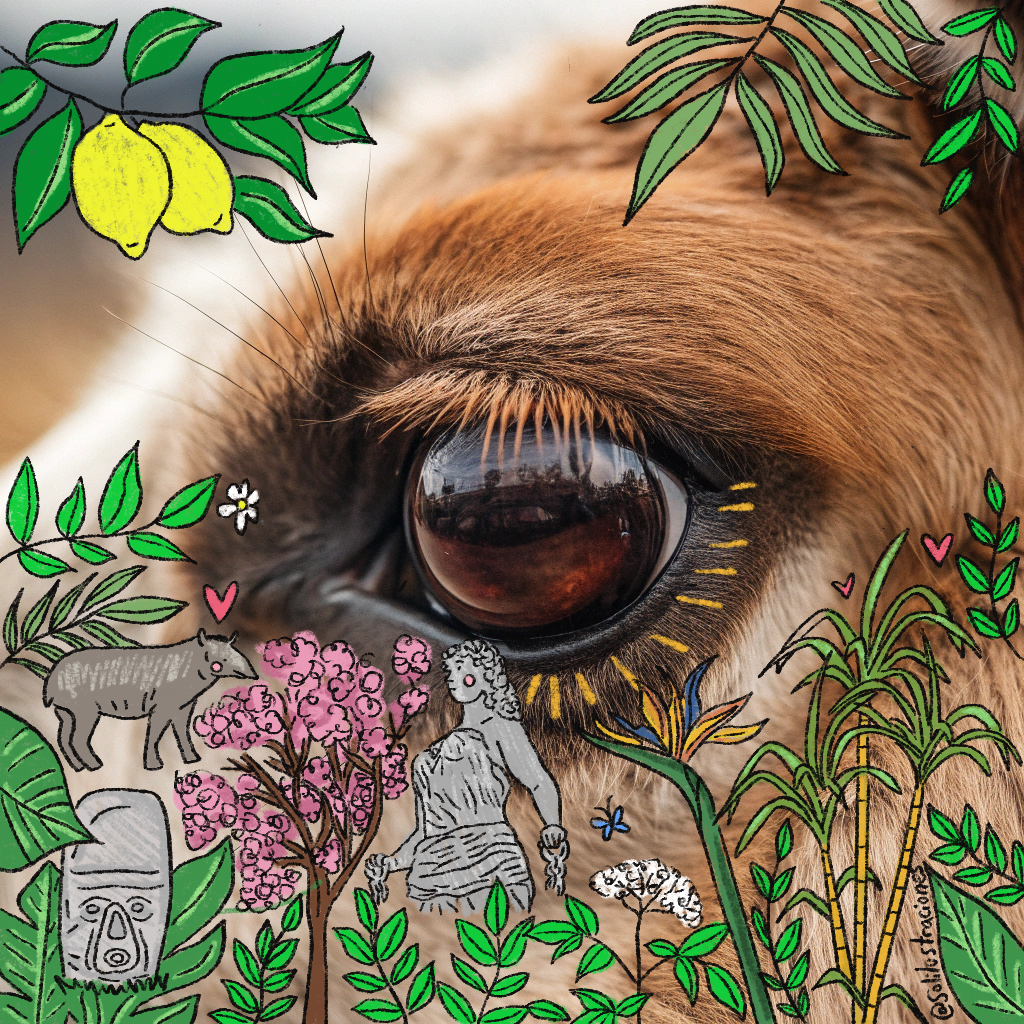 Ojo de llama intervenido con flora y símbolos del norte